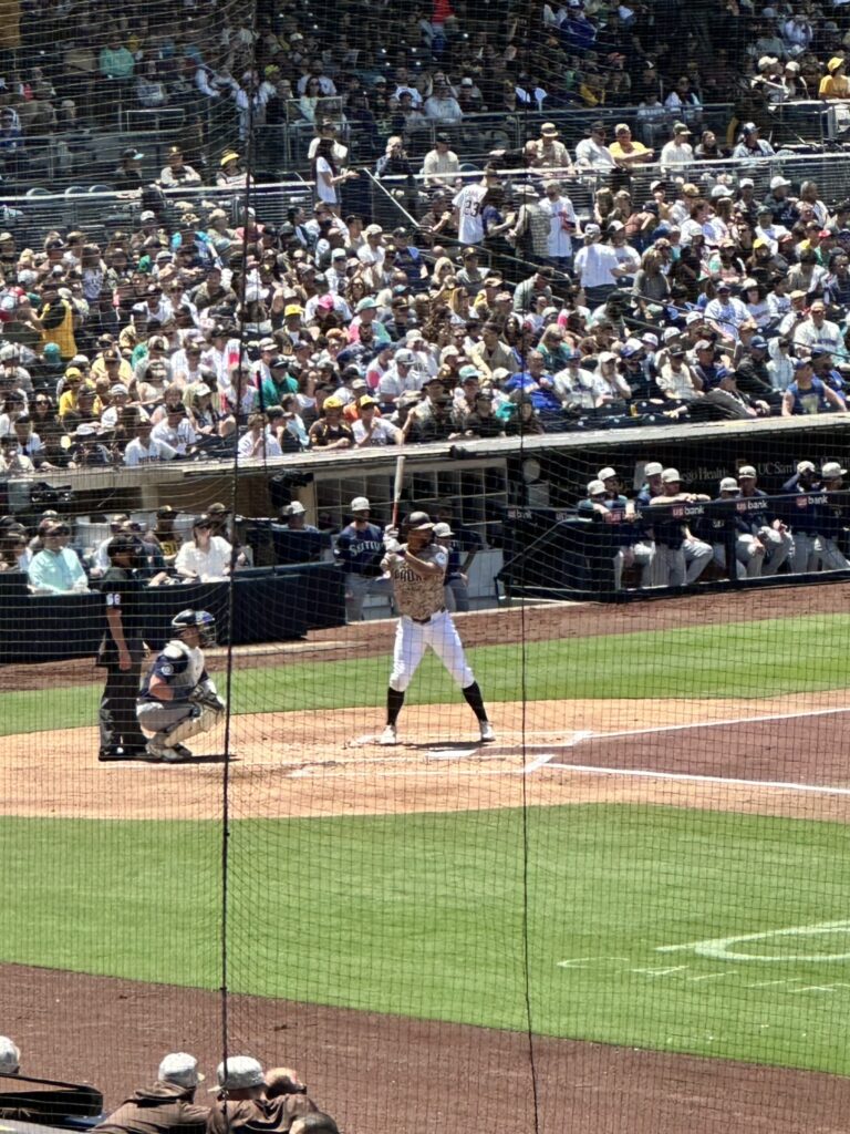 Petco Park -
Section: 113
Row: 28
Seat(s): 11 