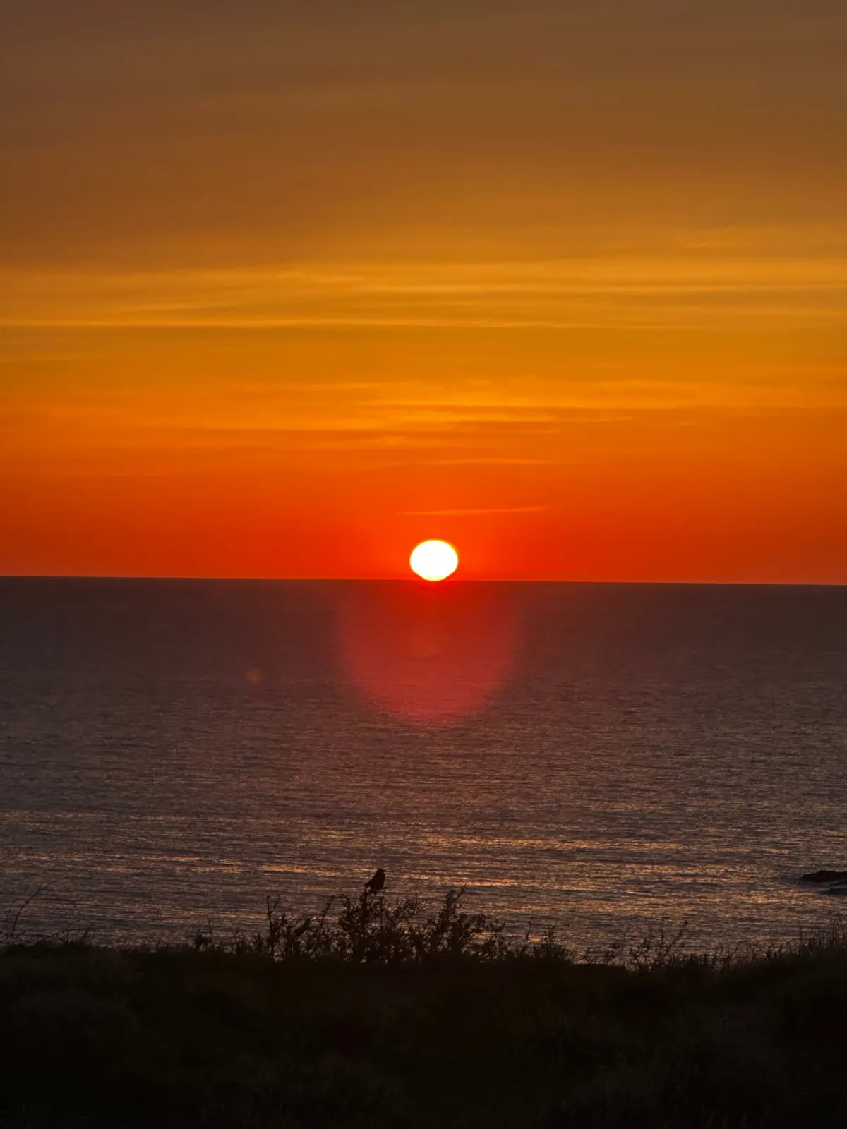 宿から見た海に沈む夕日